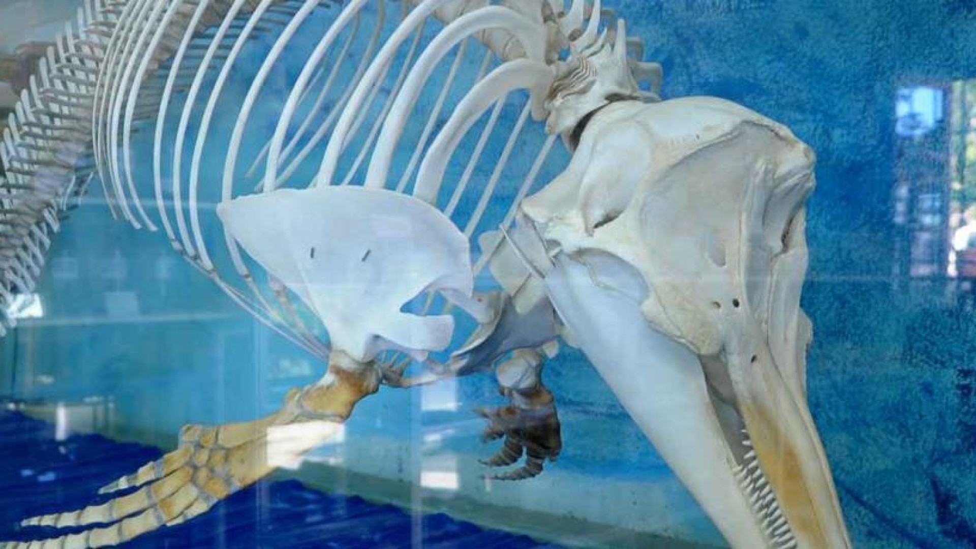 Apiranthos Natural History Museum