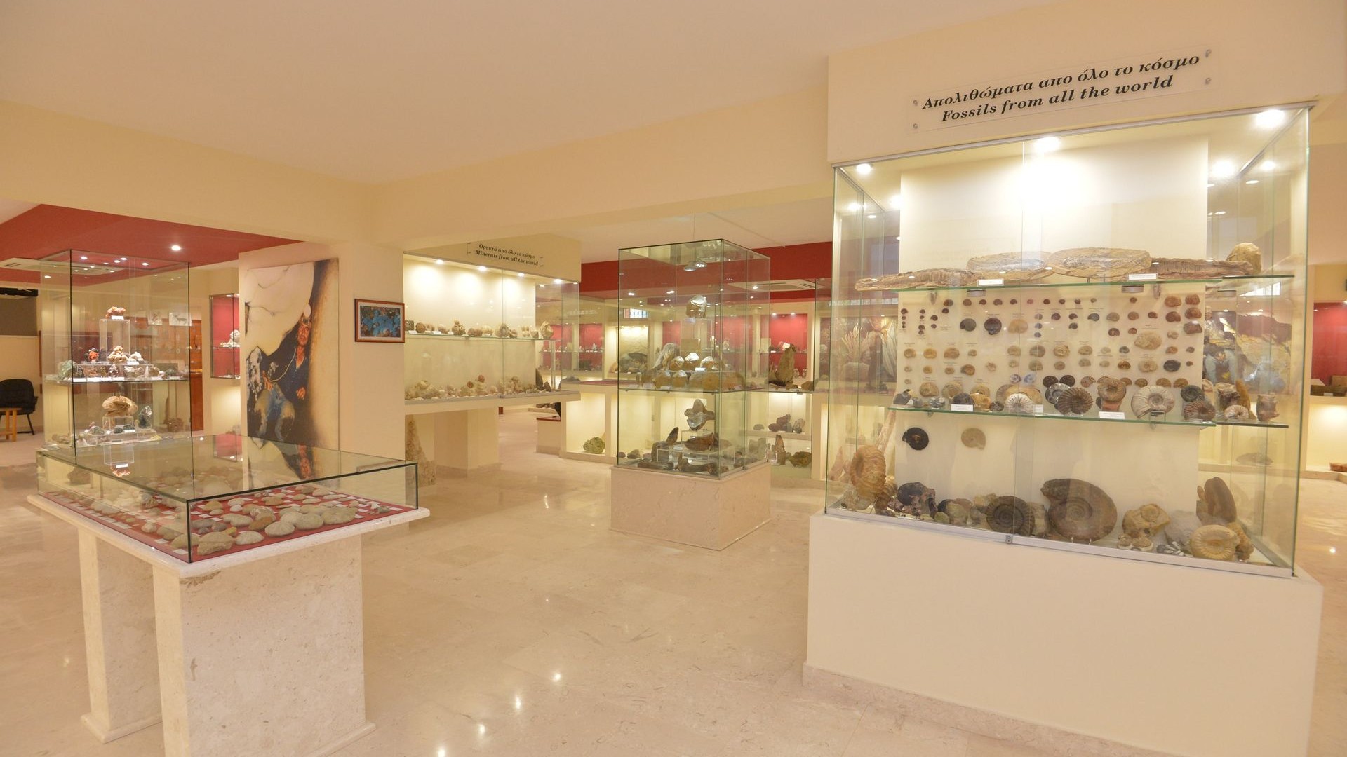 Museum of Mineralogy and Paleontology Stamatiadis Rhodes