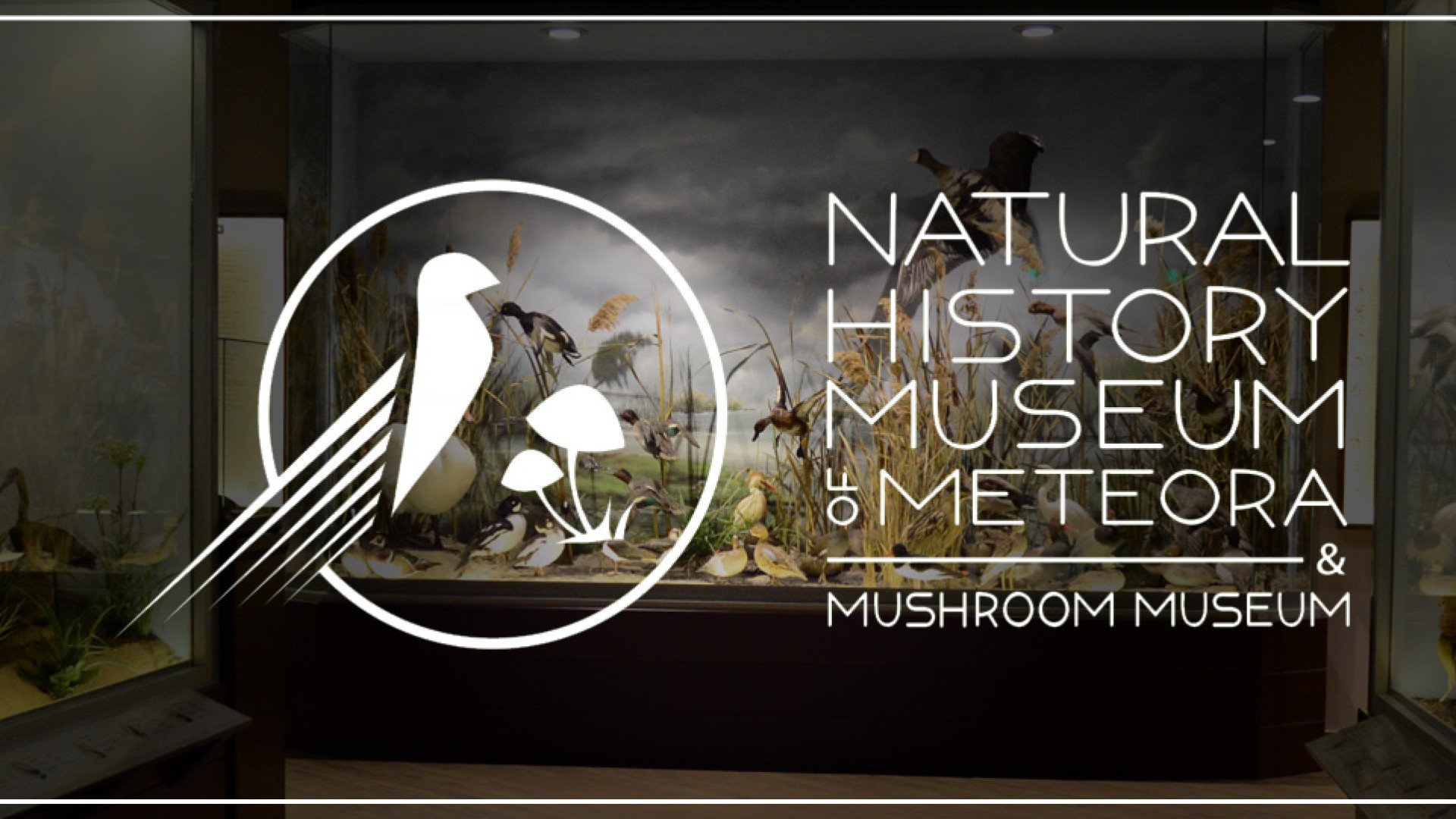 Natural History Museum of Meteora and Mushroom Museum
