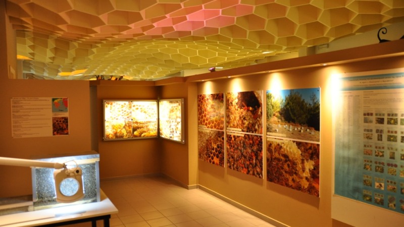 Bee Museum of Rhodes