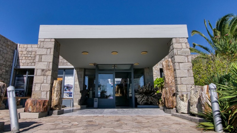 Natural History Museum of the Lesvos Petrified Forest