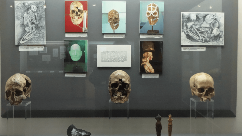 Museum of Anthropology, University of Athens